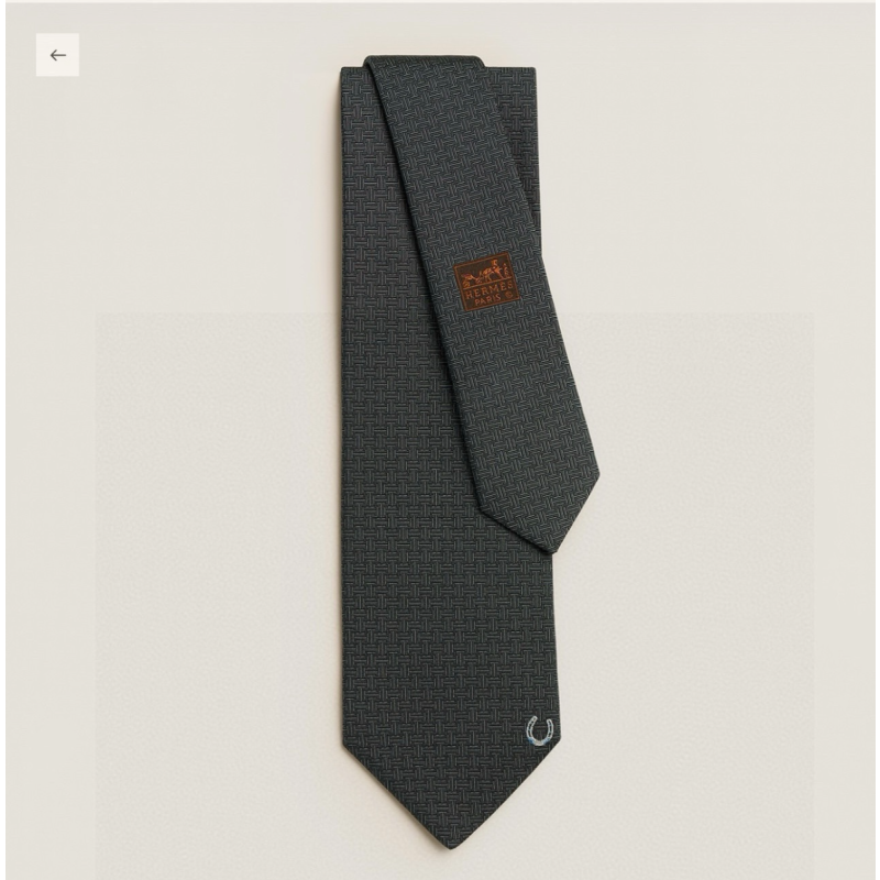 Hermes Silk Men's Tie