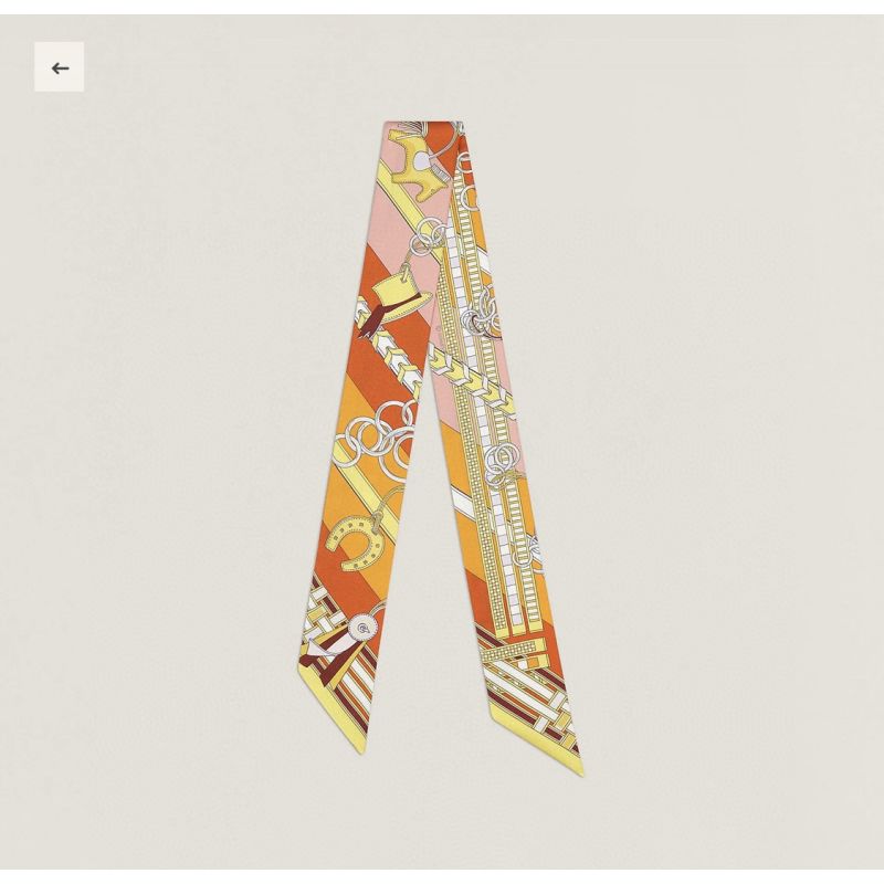 Hermes Silk Twilly 